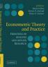 Econometric Theory and Practice