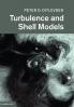 Turbulence and Shell Models