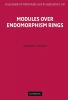 Modules over Endomorphism Rings