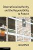 International Authority and the Responsibility to Protect