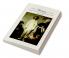 Watteau and the Cultural Politics of Eighteenth-Century France