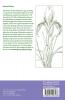 A Guide to Species Irises