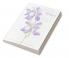 A Guide to Species Irises