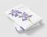 A Guide to Species Irises