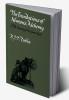 The Foundations of Newton's Alchemy