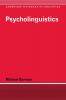 Psycholinguistics