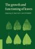 The Growth and Functioning of Leaves