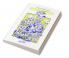 Mathematical Activities
