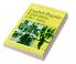 English Popular Education 1780 1975