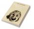Shakespeare and the Traditions of Comedy