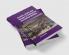 Gender Work and Wages in Industrial Revolution Britain