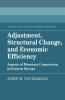 Adjustment Structural Change and Economic Efficiency