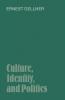 Culture Identity and Politics