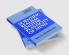 Scientific Realism and the Plasticity of Mind