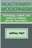 Reactionary Modernism