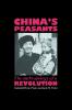 China's Peasants