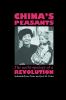 China's Peasants