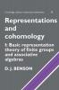 Representations and Cohomology