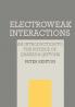 Electroweak Interactions