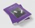 The Cambridge Companion to Descartes