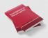 Foundations of French Syntax