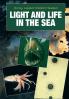 Light and Life in the Sea