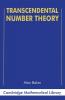 Transcendental Number Theory