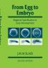 From Egg to Embryo