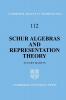 Schur Algebras and Representation Theory