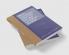 Oral Tradition and Written Record in Classical Athens