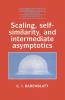 Scaling Self-Similarity and Intermediate Asymptotics