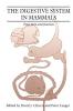 The Digestive System in Mammals
