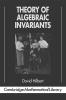 Theory of Algebraic Invariants