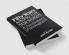 Fifty Years Among the New Words