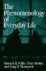 The Phenomenology of Everyday Life