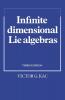 Infinite-Dimensional Lie Algebras