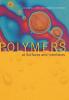 Polymers at Surfaces and Interfaces