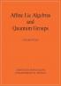 Affine Lie Algebras and Quantum Groups