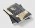 The Cambridge Companion to the French Novel