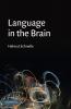Language in the Brain