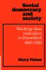 Social Democracy and Society