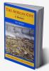 The African City