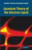 Quantum Theory of the Electron Liquid