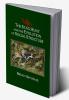 The Stag Hunt and the Evolution of Social Structure