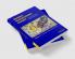 Dynamic Macroeconomic Analysis