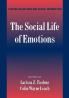 The Social Life of Emotions