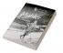 Cambridge Companion to Mahler