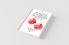 The Analytics of Uncertainty and Information Second Edition