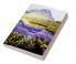 A History of Tasmania