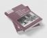 Education Economic Change and Society in England 1780 1870